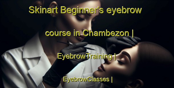 Skinart Beginner's eyebrow course in Chambezon | EyebrowTraining | EyebrowClasses | SkinartTraining-France